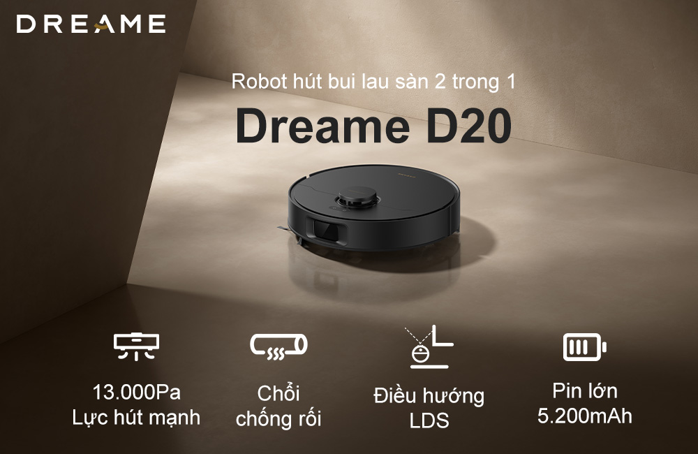 Dreame D20